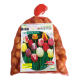 Tulipa Mixed