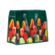 Shopping bag Mixed Tulip